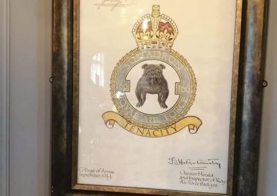 166 Squadron insignia