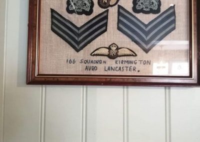 RAF Insignia displayed in a frame